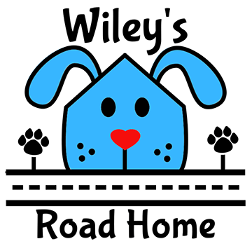 Wiley's Road Home